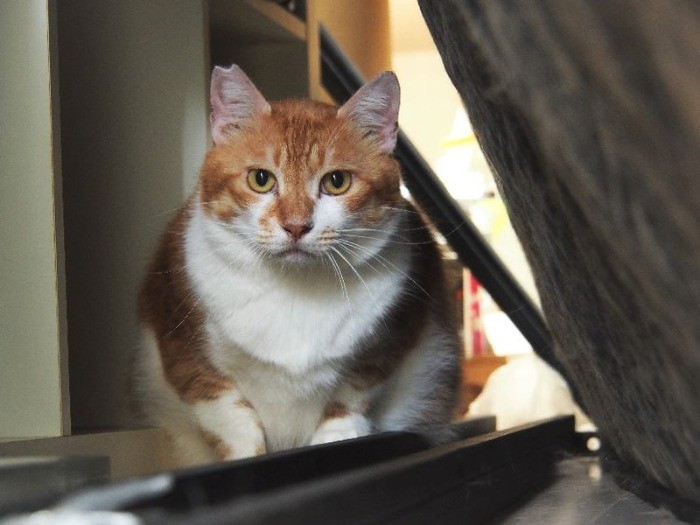 「もうゼッタイどこにも行かないからね」