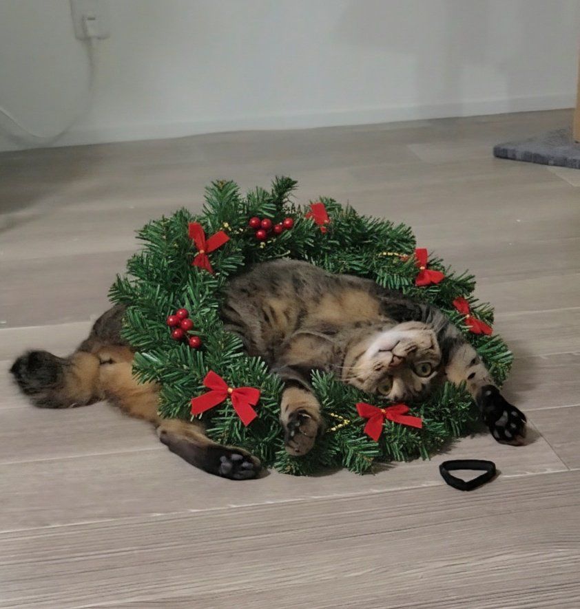 クリスマスリースをつけてもらった猫さん、実はAIだけど……「違和感なさ