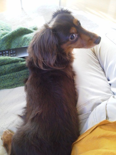 クレアちゃんの見返り美人ショット