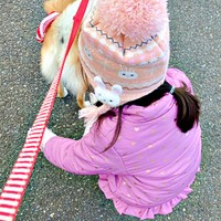 公園で出会った犬を撫でる娘さん（画像提供：きらのどんさん）