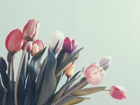 今の私と「合う」人と関われば十分。人間関係が下手な私が手放したもの