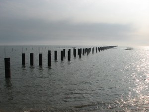 大陸と台湾、橋でつながる？　分断の海峡に架橋計画、議論呼ぶ