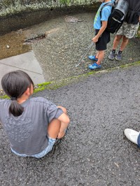 近所の小学生たちが先に発見していた（銀玉先生さん提供）