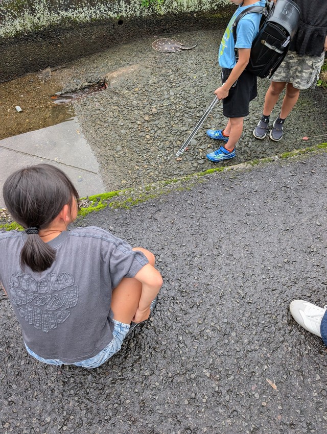 近所の小学生たちが先に発見していた（銀玉先生さん提供）