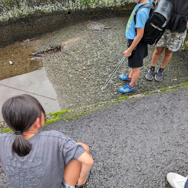 近所の小学生たちが先に発見していた（銀玉先生さん提供）