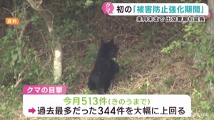 宮城県でクマ出没が相次ぐ　人身被害防止強化期間を初めて設定　１１月末まで