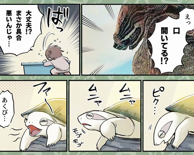 一大事かと慌てたら寝ているだけ…お騒がせなのもご愛敬（カメユさん提供）