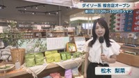 松木梨菜リポート