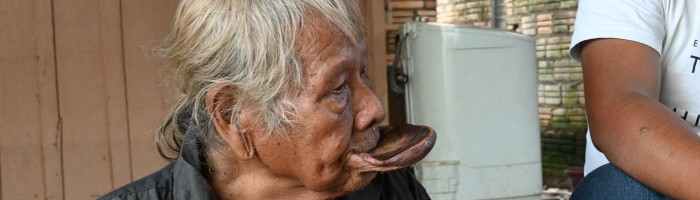 環境より開発優先のブラジル政府 アマゾンの長老の苦悩「人々は 環境より開発優先のブラジル政府 アマゾンの長老の苦悩「人々は