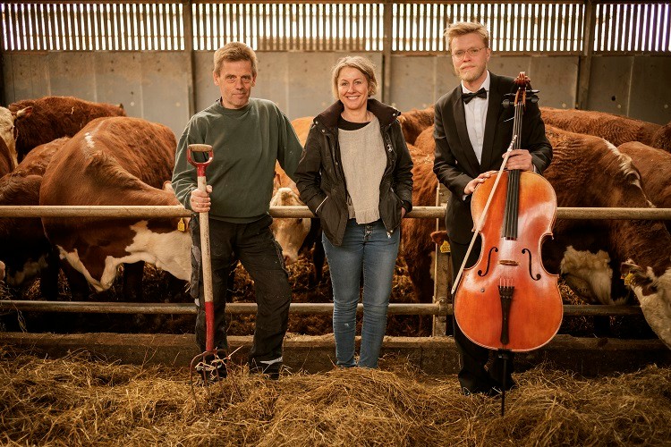 Left to right: The cattle farmers Mogens and Louise Haugaard, and Jacob Shaw, who founded the Scandinavian Cello School, in Lund, Denmark, April 23, 2021. “Classical music is very good for humans," Mogens Haugaard said. “It helps us relax, and cows can tell whether we're relaxed or not. It makes sense that it would make them feel good too." (Carsten Snejbjerg/The New York Times)