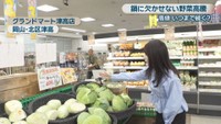 松木梨菜リポート