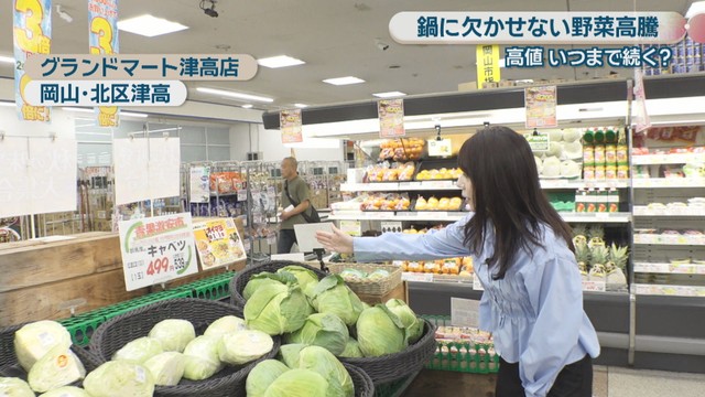 松木梨菜リポート