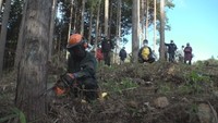 持続可能な山林管理へ　ヒノキの伐採見学会　岡山・新見市