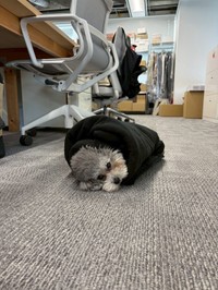 寒い時期は海苔巻きに