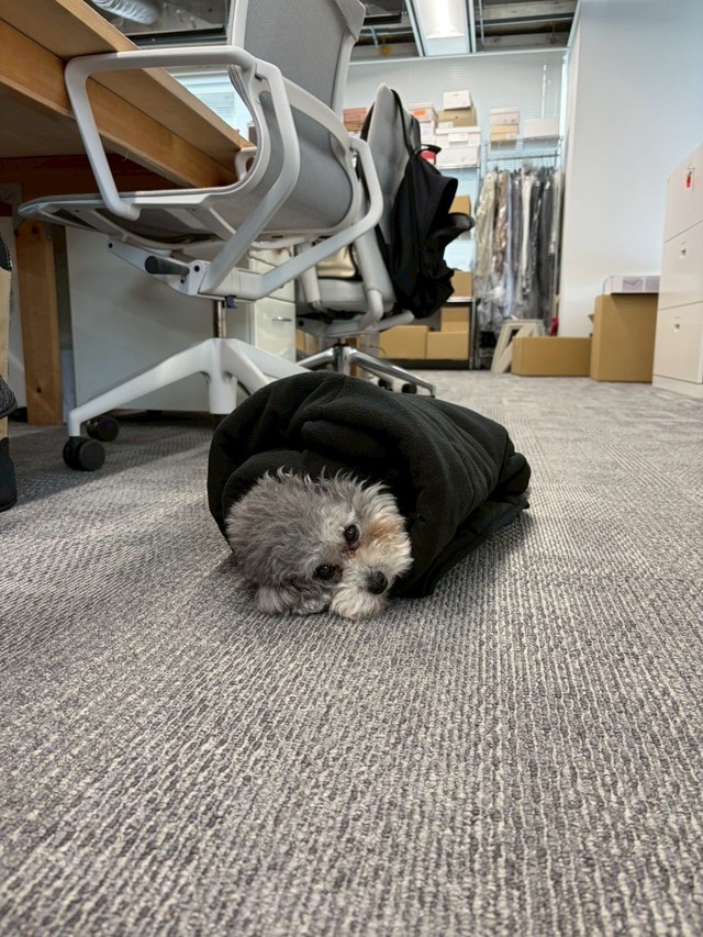 寒い時期は海苔巻きに