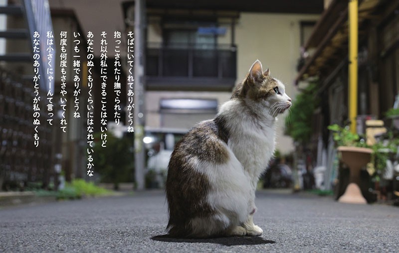 「猫から目線」（ＫＫベストセラーズ）より