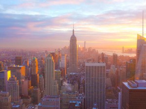 就活敗退、価値0の烙印を押されても、自分は「特別」だと信じた