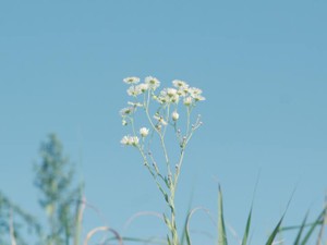 私が辛い時、父は「がんばるな」とヘラヘラ笑って背中を押してくれた