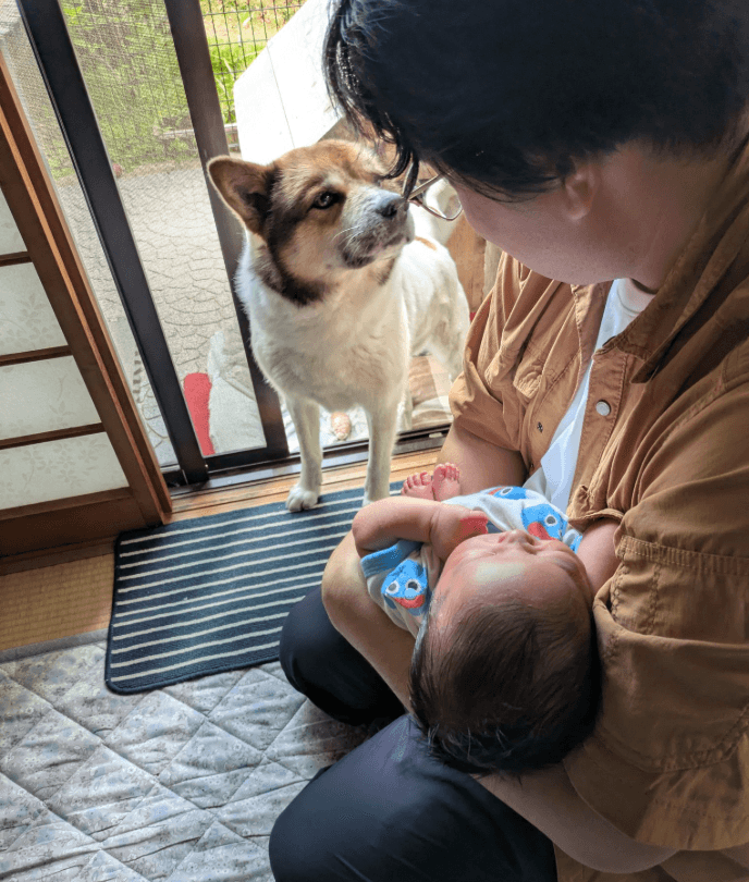 「泣いてるよ！」パパさんを呼びに行く、お兄ちゃんのリクくん（ちぎりぱんまんさん提供）