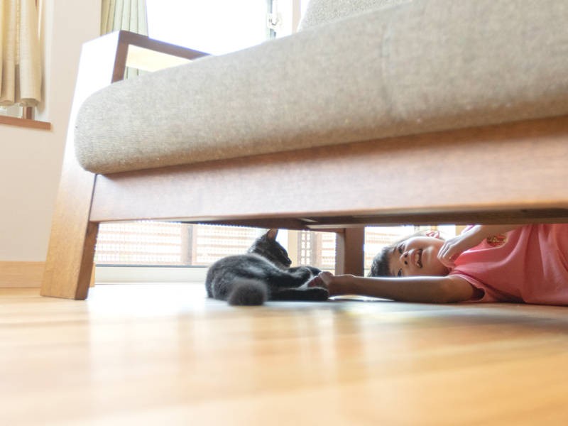 狭いところが大好き