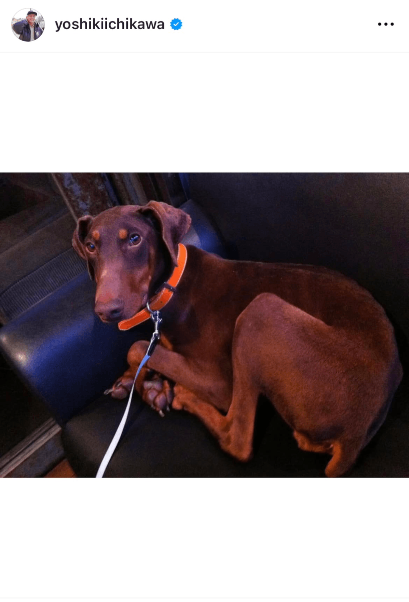 市川欣希 (@yoshikiichikawa)さんのインスタグラムより