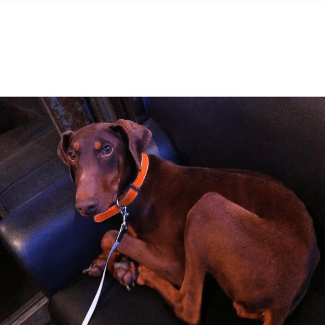 市川欣希 (@yoshikiichikawa)さんのインスタグラムより