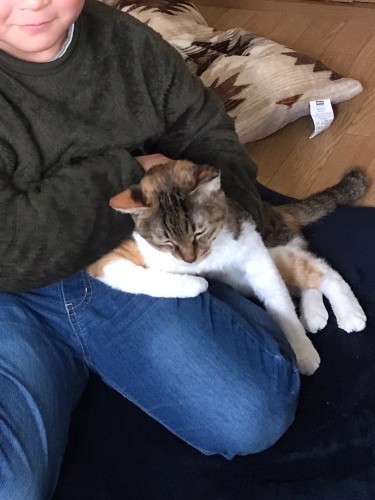 息子さんが成長し、みいちゃんと息子さんが一緒にいることが増えたと感じた今年の１月ごろ