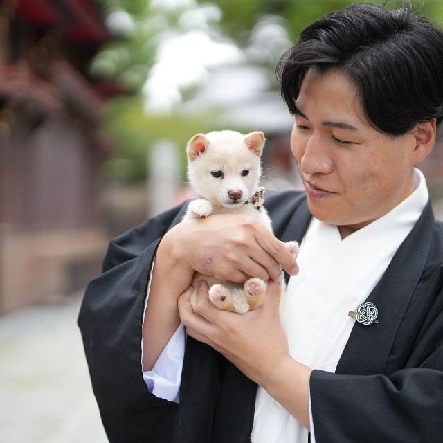 吉開宮司とチビシロ。子犬の可愛さに宮司もメロメロ