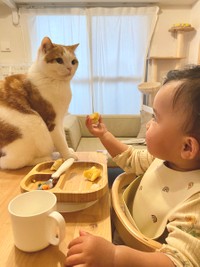 遊んで欲しくてやってきたこなつくんに、バナナをどうぞと＝こなつさん（@konatsudayo529）提供