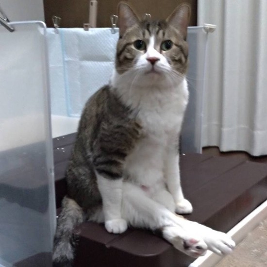 「一服するか」。時には足を組んで（かおりさん提供）