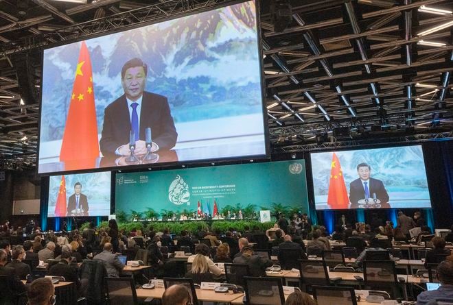 Historic biodiversity agreement reached at U.N. conference | The Asahi ...