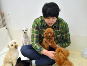 さじを投げられた犬も激変　「社会化お泊まり」で問題行動を解決