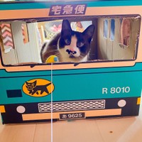 さあ、今日の配達先はどこだにゃ