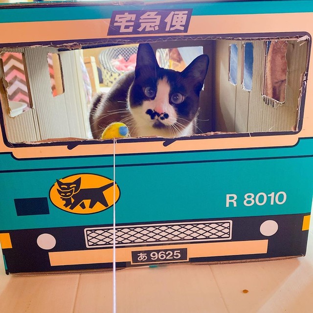 さあ、今日の配達先はどこだにゃ