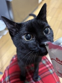 乳歯が抜けるなど、順調に成長中