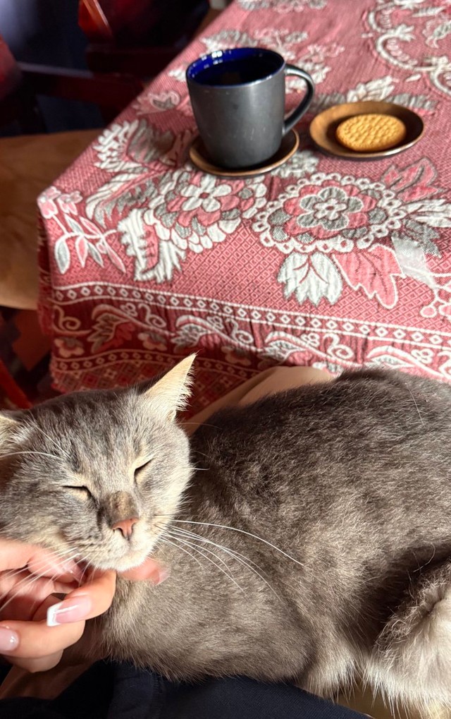 こちらのお店ではにゃたんぽ（湯たんぽ）のサービスまで（提供：ゆゆさん）