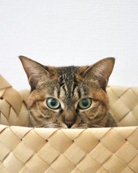 追いかけっこをしていたが、ちょっとインターバル