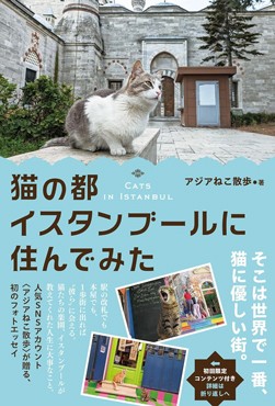 「猫の都イスタンブールに住んでみた」書評　街の人びとに愛され、くつろぐ