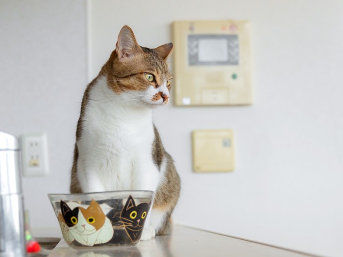 「堂々としていればいい」