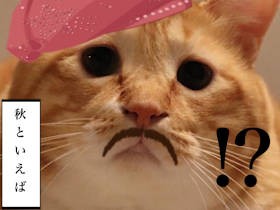 断固拒否　お太りさま猫「ぐっぴー」、芸術の秋に思いの丈を描きなぐり