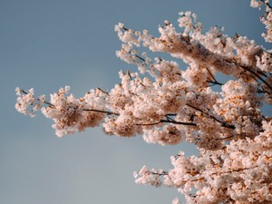 いじめる側の気持ちを考えるようになったのは、いじめられたから