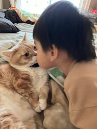 無理矢理チューしましょ！＝マンチカンのタケさん（@Taketter0924）提供