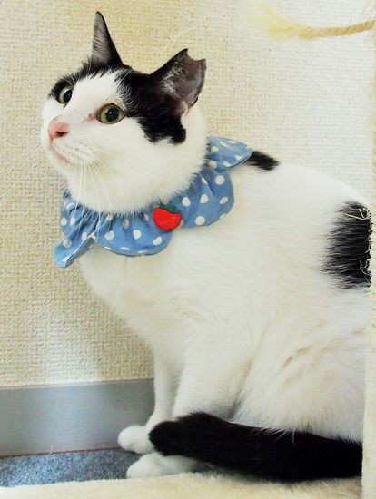 もうすっかり元気！