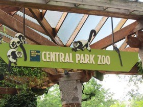 ニューヨークの真ん中に「都会のオアシス」　小さな動物園