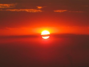 卒論も就活もあるけど、「頑張るって言わない（極力）」を目標にした