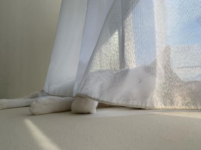 「日光浴の天才君と呼んで！」（晴美さん提供）