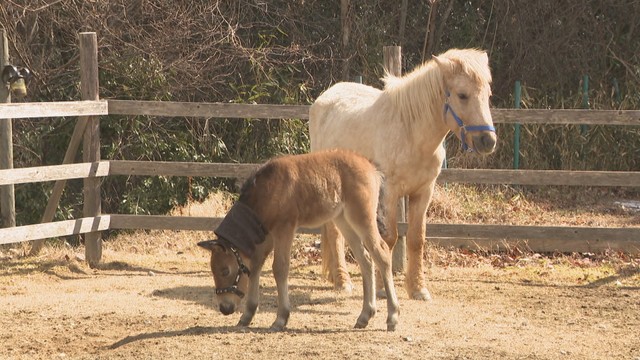 おかやまフォレストパーク　ドイツの森　赤磐市仁堀中　24日