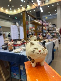 金沢の「ねこばっか＋ワン」でもお目見え（布施猫さん提供）