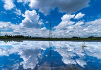 水たまりに写る夏空（提供：akiさん）