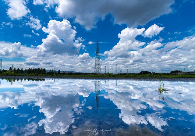 水たまりに写る夏空（提供：akiさん）